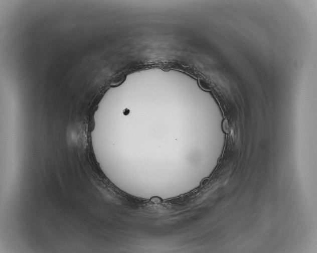 X0000111611348200908071322