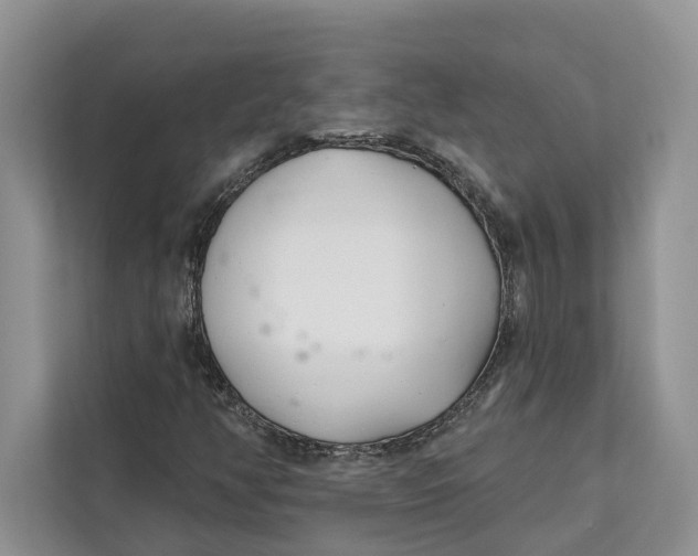 X0000111611350200908071322