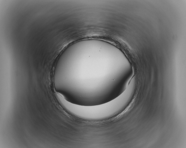 X0000111611353200908071322