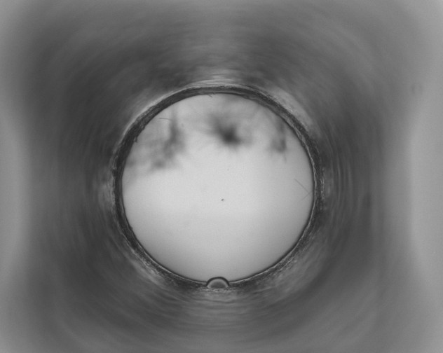 X0000111611356200908071322