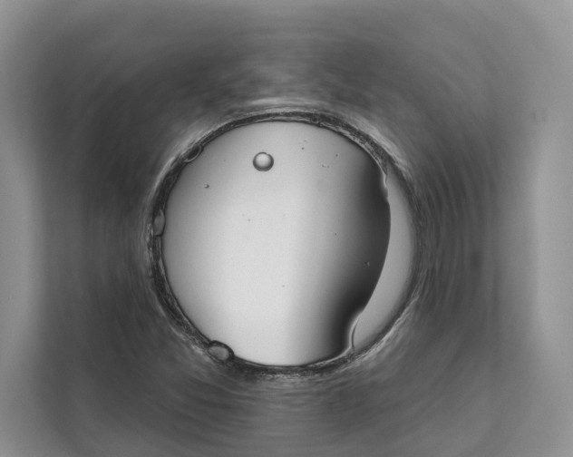 X0000111611357200908071322