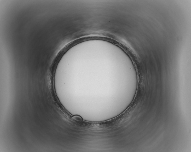 X0000111611360200908071322