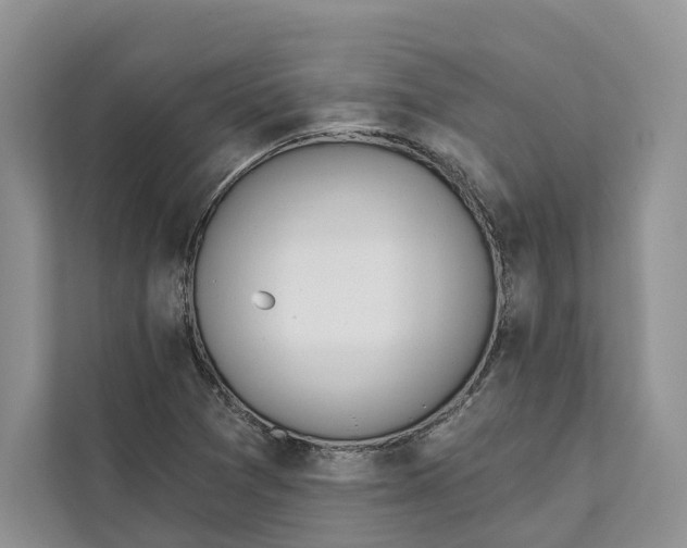 X0000111611361200908071322