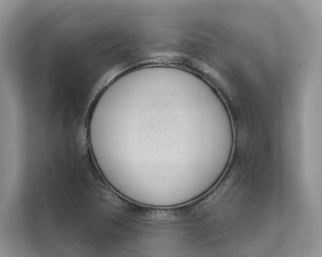 X0000111611362200908071322