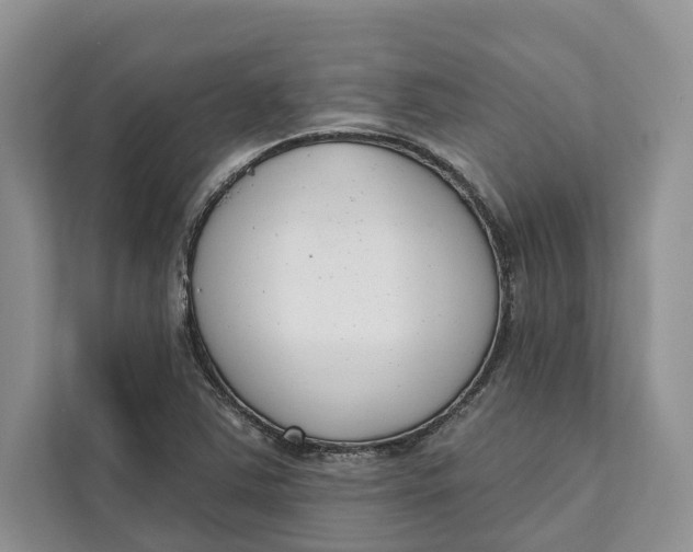 X0000111611363200908071322