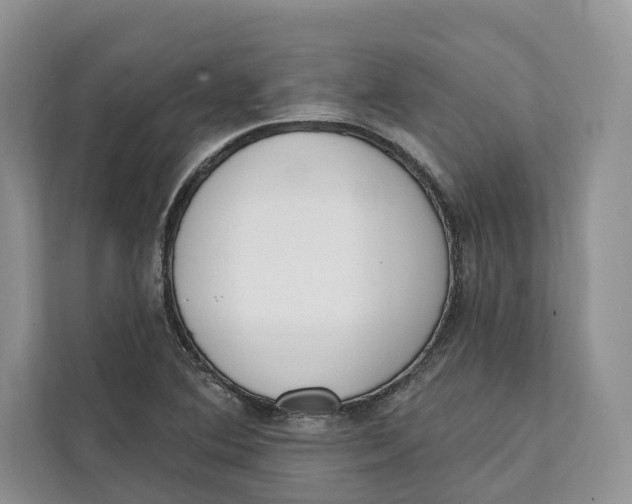 X0000111611364200908071322