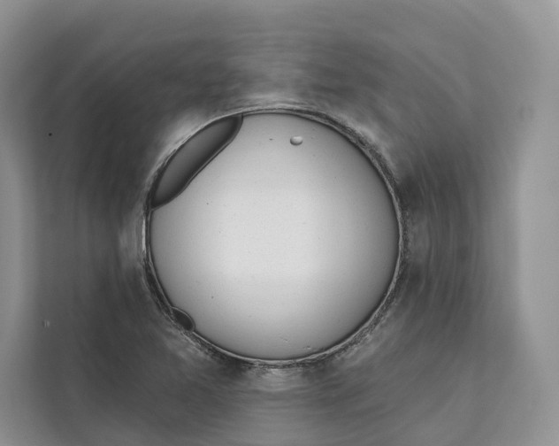 X0000111611365200908071322