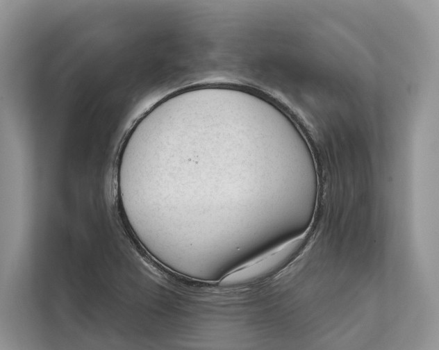 X0000111611367200908071322