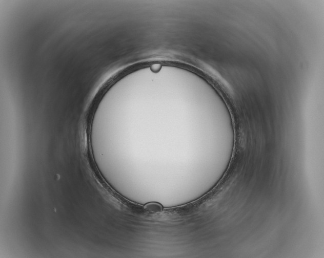 X0000111611368200908071322