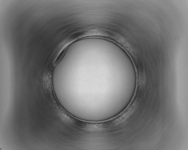 X0000111611369200908071322