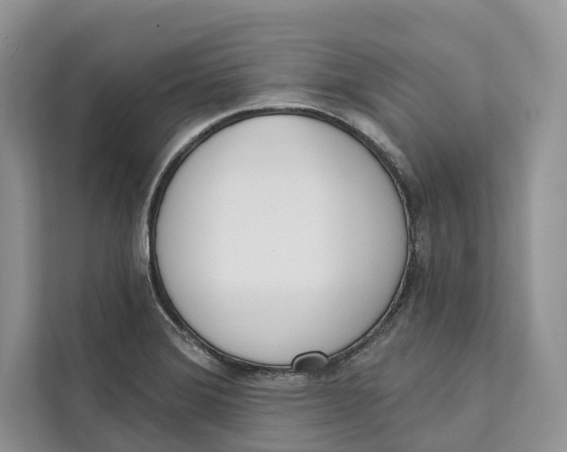 X0000111611372200908071322