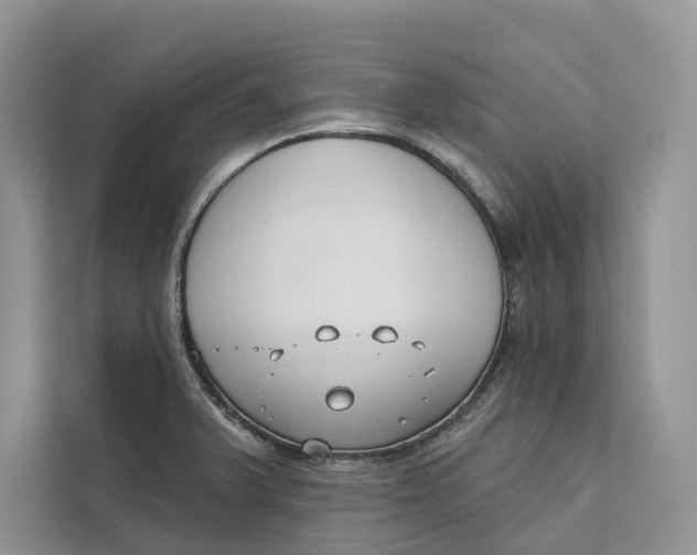 X0000111611375200908071322