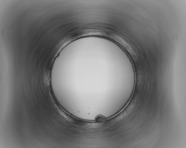 X0000111611377200908071322