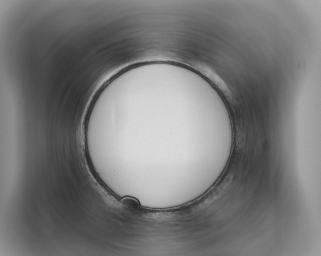 X0000111611380200908071322