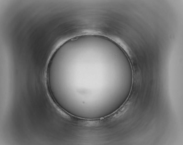 X0000111611381200908071322