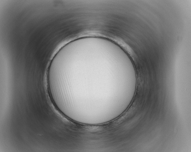 X0000111611382200908071322