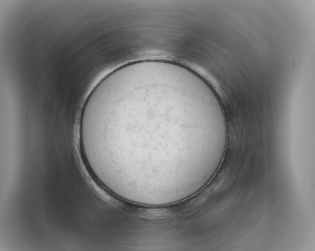 X0000111611383200908071322