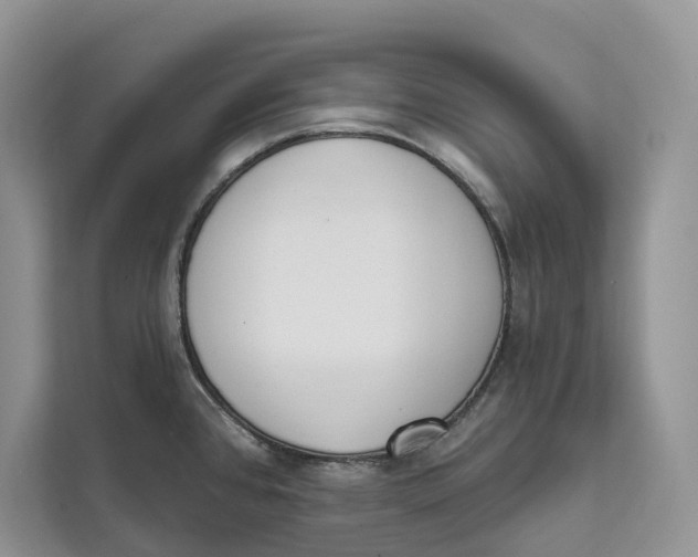 X0000111611384200908071322