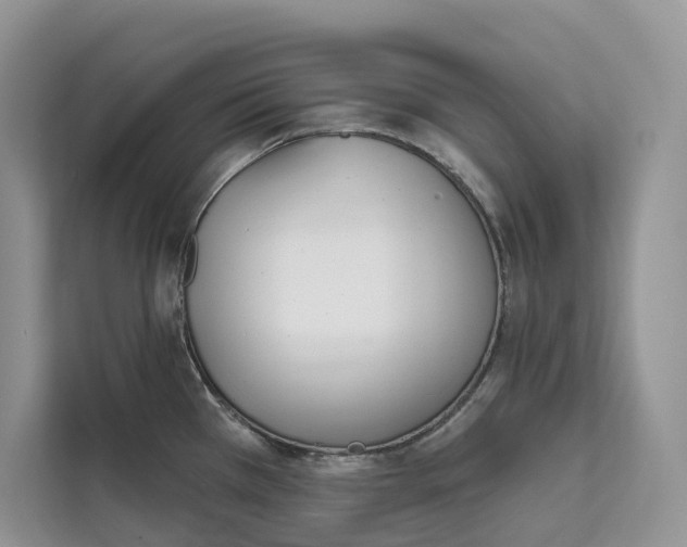 X0000111611385200908071322