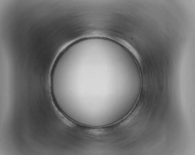 X0000111611388200908071322