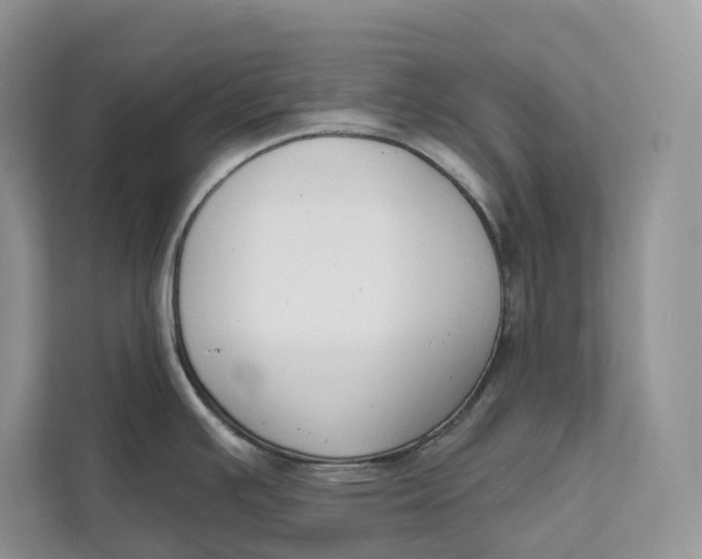 X0000111611391200908071322