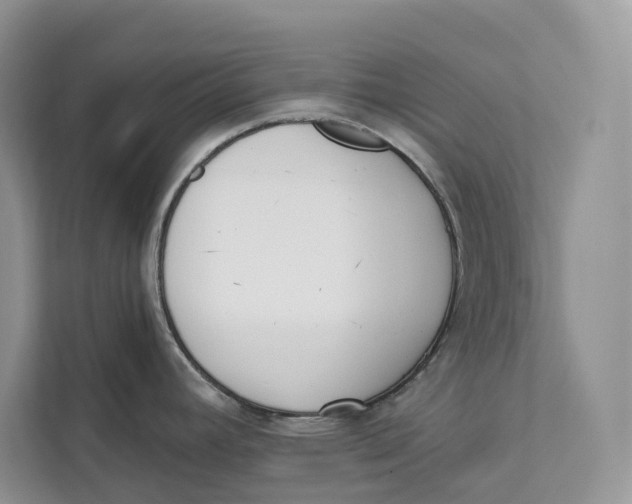 X0000111611392200908071322