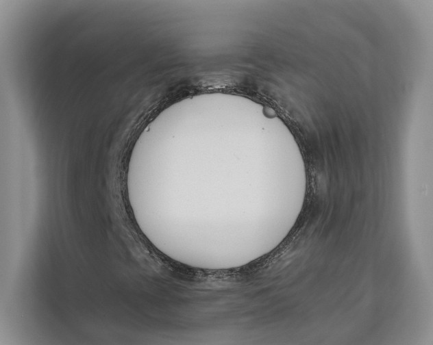 X0000111611393200908071321