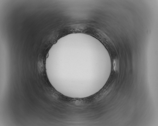 X0000111611395200908071321