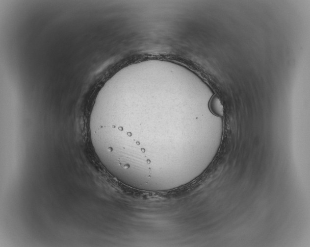 X0000111611398200908071321