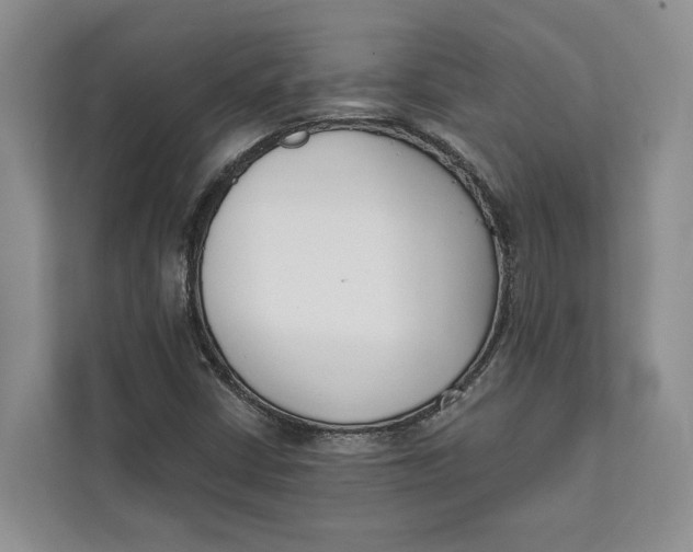 X0000111611402200908071321