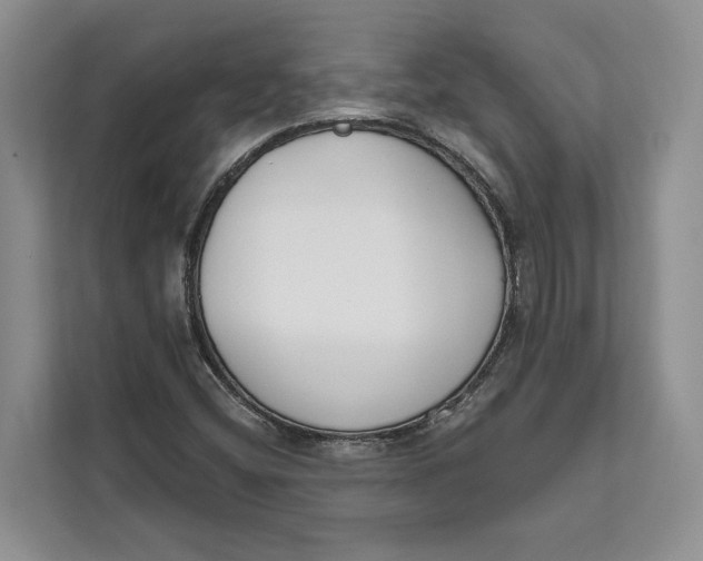 X0000111611404200908071321