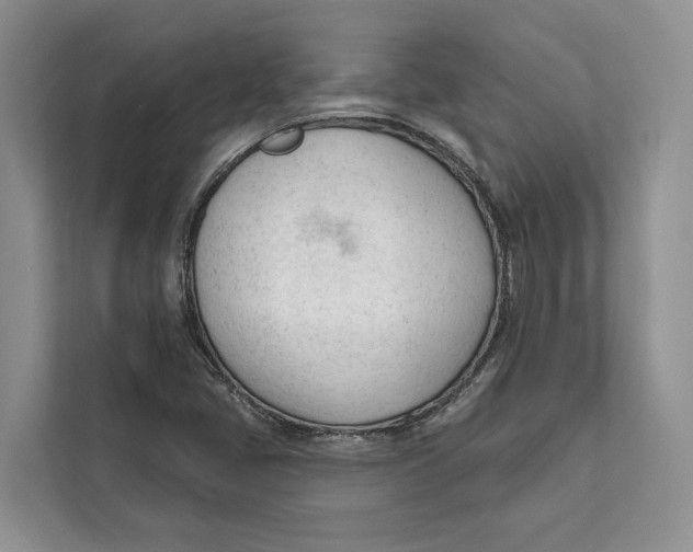 X0000111611405200908071321