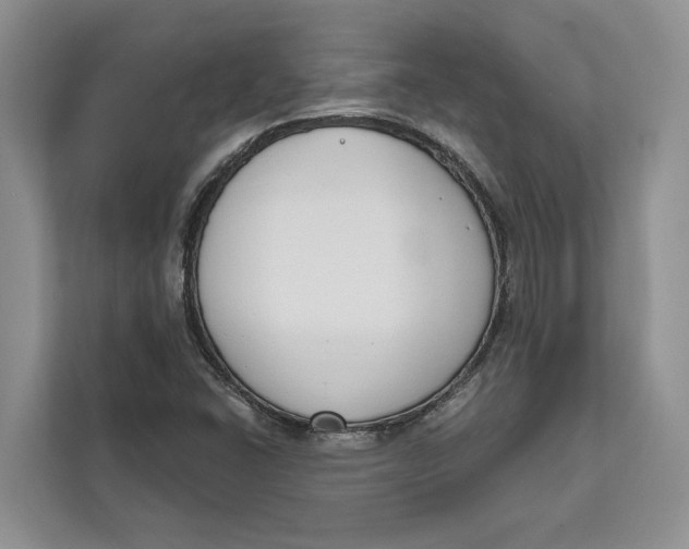 X0000111611406200908071321