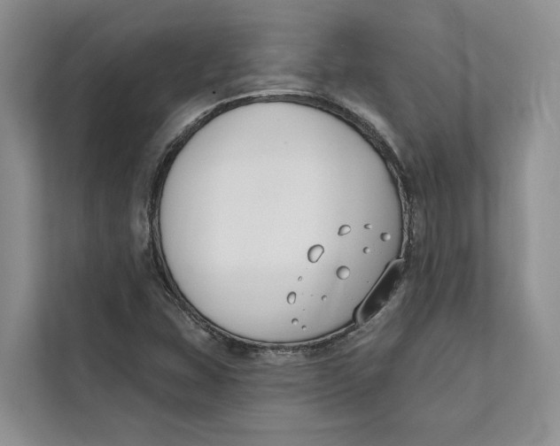 X0000111611407200908071321