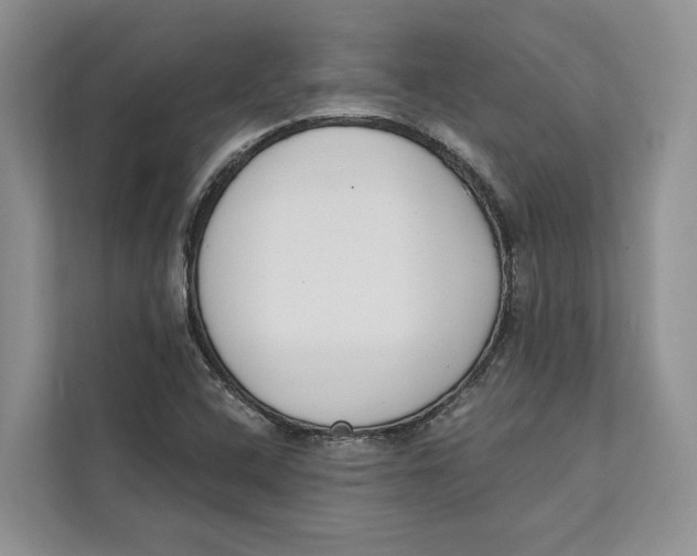 X0000111611408200908071321