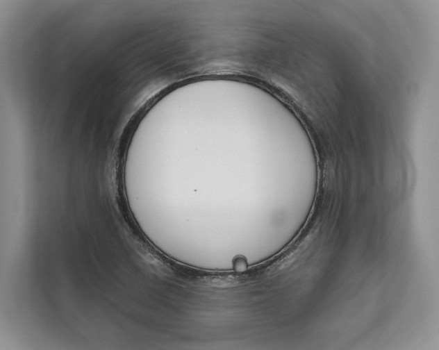 X0000111611410200908071321