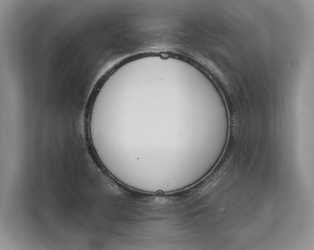 X0000111611412200908071321