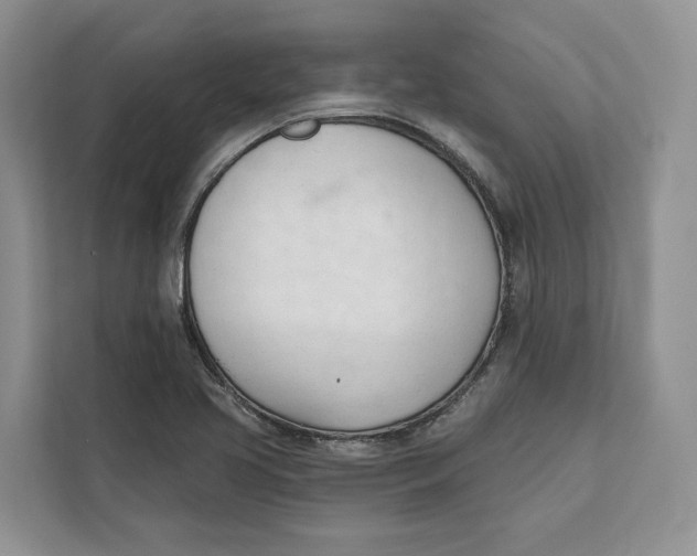 X0000111611413200908071321