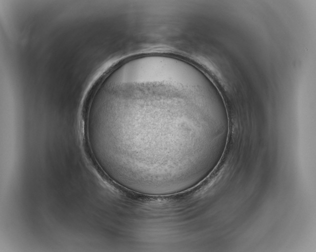 X0000111611414200908071321