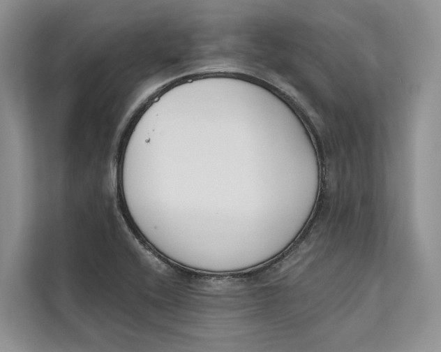 X0000111611416200908071321