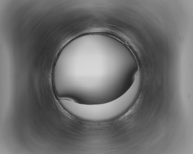 X0000111611417200908071322