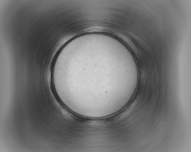 X0000111611418200908071322