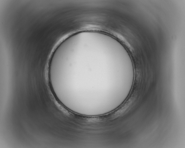 X0000111611421200908071322