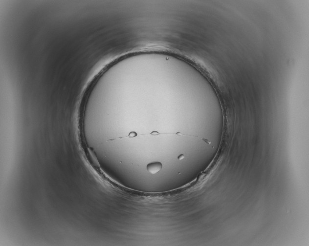 X0000111611422200908071322