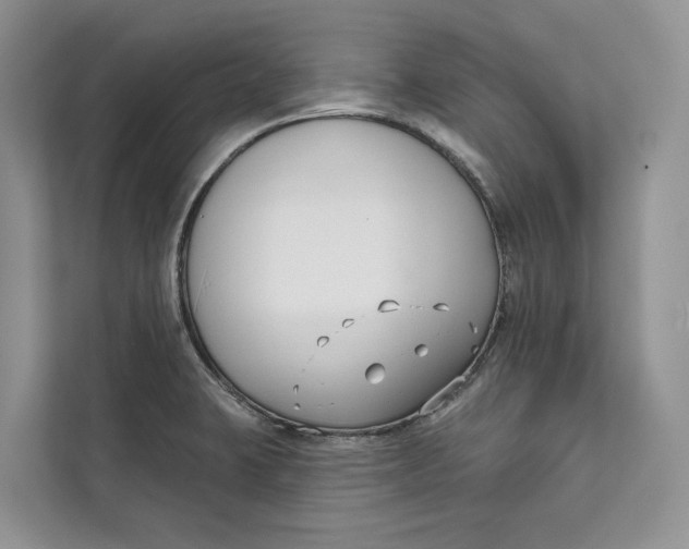 X0000111611423200908071322