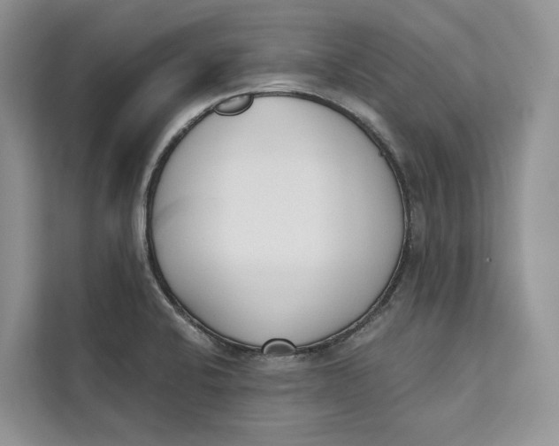 X0000111611424200908071322