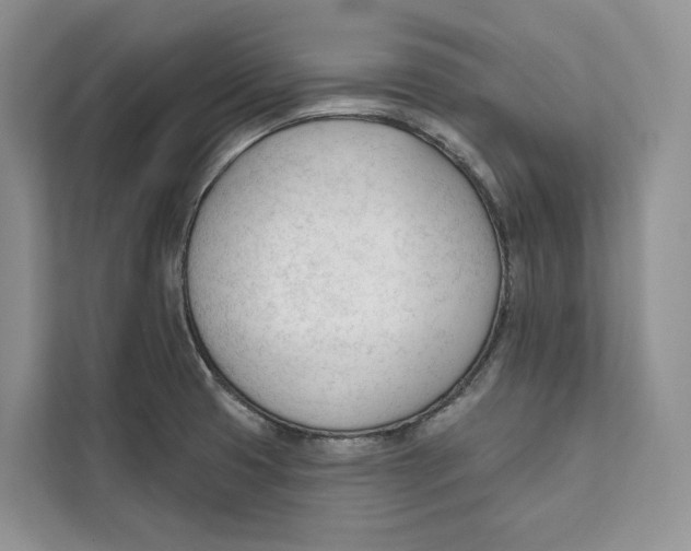 X0000111611425200908071322