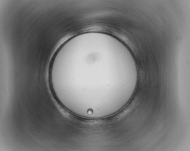 X0000111611426200908071322