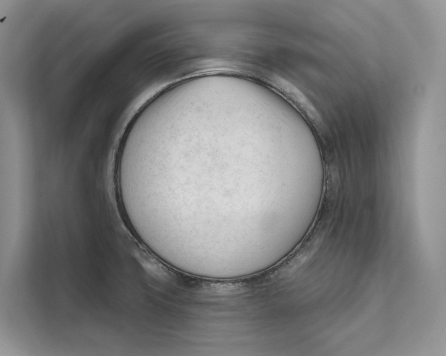 X0000111611427200908071322