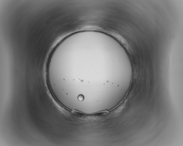 X0000111611430200908071322